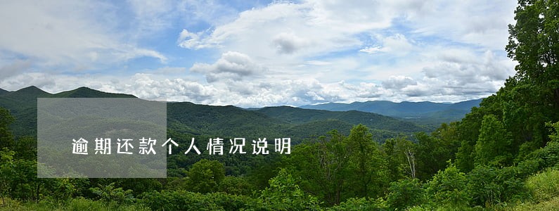 逾期还款个人情况说明