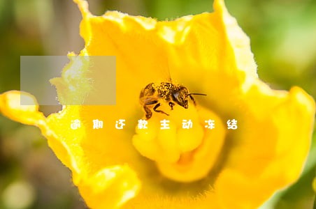 逾期还款主动冻结 逾期还款主动冻结