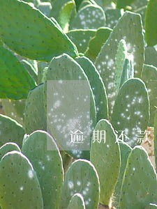 逾期还款主张利息的法律依据 逾期还款主张利息的法律依据