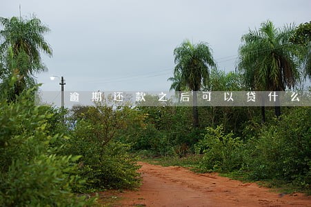 逾期还款之后可以贷什么平台