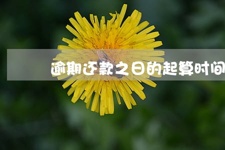 逾期还款之日的起算时间 逾期还款之日的起算时间
