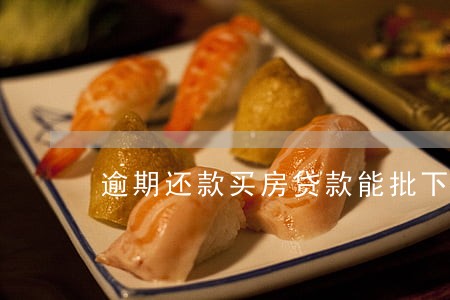 逾期还款买房贷款能批下来吗 逾期还款买房贷款能批下来吗