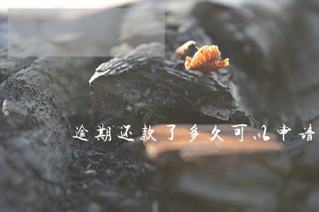 逾期还款了多久可以申请房贷 逾期还款了多久可以申请房贷