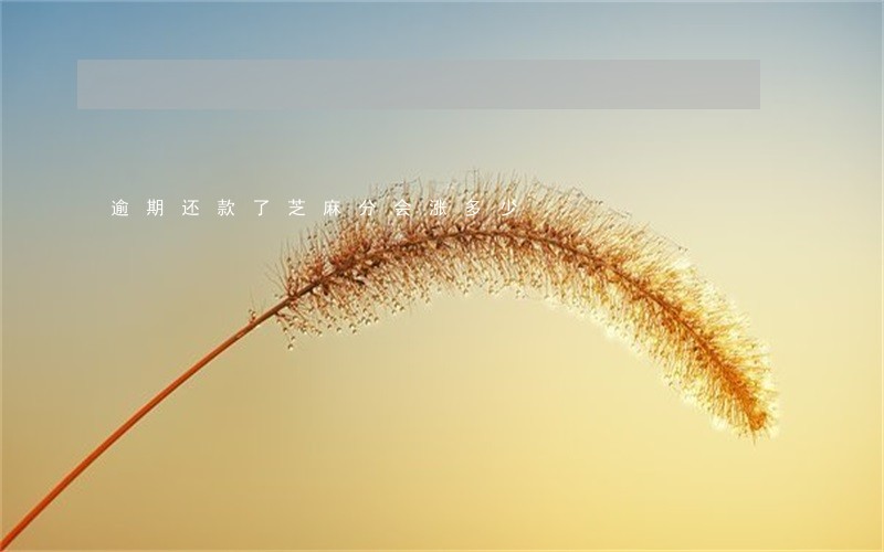 逾期还款了芝麻分会涨多少 逾期还款了芝麻分会涨多少