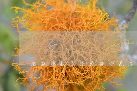 逾期还款了还是征信黑名单吗 逾期还款了还是征信黑名单吗