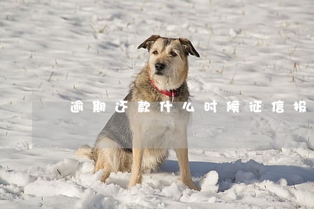 逾期还款什么时候征信报告消除 逾期还款什么时候征信报告消除