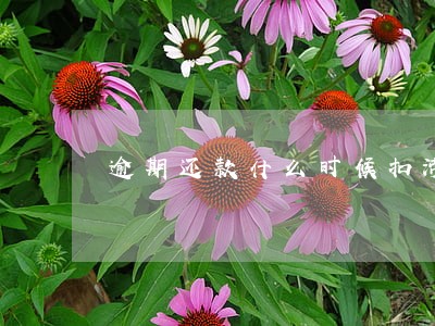 逾期还款什么时候扣滞纳金 逾期还款什么时候扣滞纳金