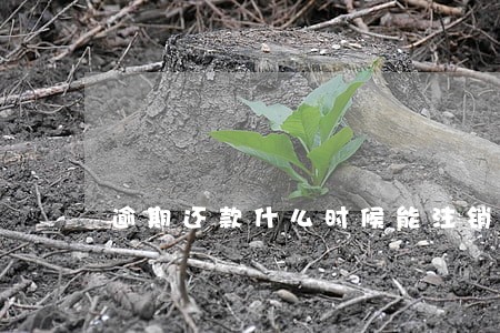逾期还款什么时候能注销 逾期还款什么时候能注销