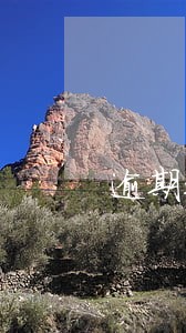 逾期还款以后什么软件可以借钱 逾期还款以后什么软件可以借钱