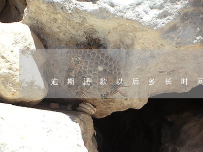 逾期还款以后多长时间恢复正常 逾期还款以后多长时间恢复正常