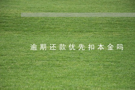 逾期还款优先扣本金吗 逾期还款优先扣本金吗