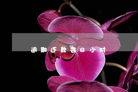 逾期还款会8小时 逾期还款会8小时