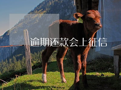逾期还款会上征信嚒 逾期还款会上征信嚒