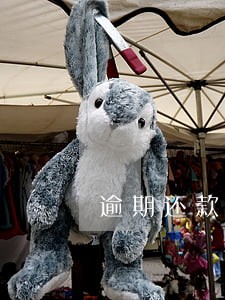 逾期还款会不会被告 逾期还款会不会被告