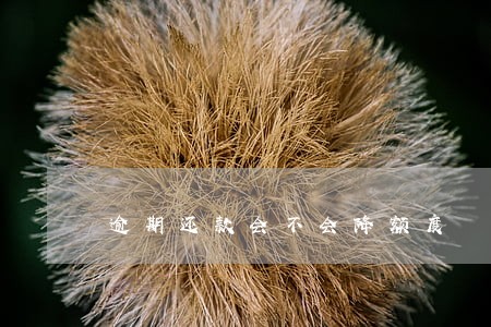 逾期还款会不会降额度 逾期还款会不会降额度