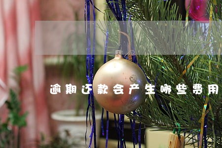 逾期还款会产生哪些费用 逾期还款会产生哪些费用