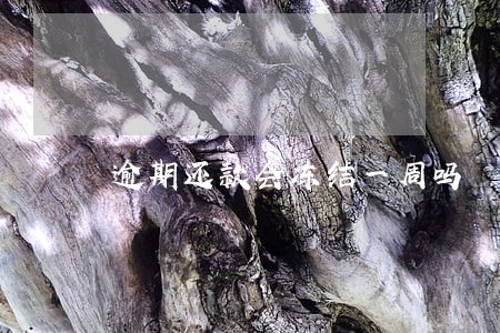 逾期还款会冻结一周吗 逾期还款会冻结一周吗