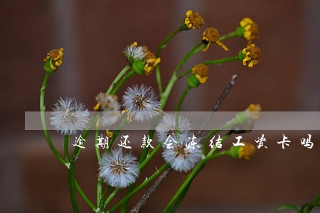 逾期还款会冻结工资卡吗 逾期还款会冻结工资卡吗