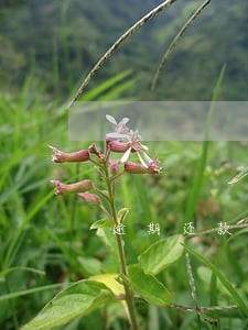 逾期还款会发短信吗 逾期还款会发短信吗