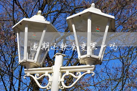 逾期还款会变黑户吗 逾期还款会变黑户吗