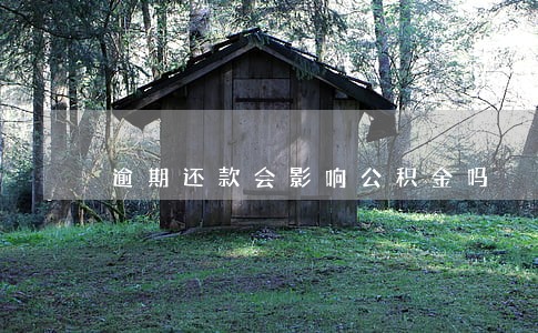逾期还款会影响公积金吗 逾期还款会影响公积金吗