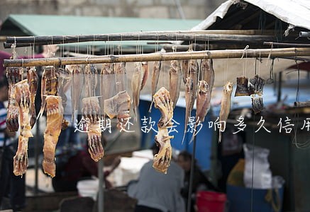 逾期还款会影响多久信用记录 逾期还款会影响多久信用记录