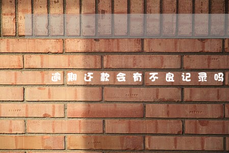 逾期还款会有不良记录吗 逾期还款会有不良记录吗