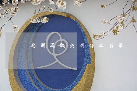 逾期还款会有什么后果 逾期还款会有什么后果