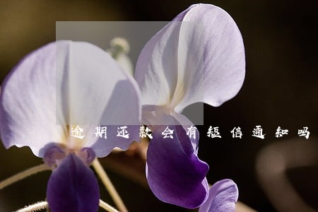 逾期还款会有短信通知吗 逾期还款会有短信通知吗
