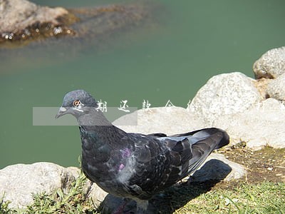 逾期还款会给家里打电话吗 逾期还款会给家里打电话吗