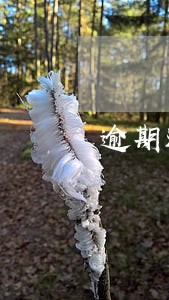 逾期还款低于本金 逾期还款低于本金