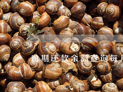 逾期还款余额查询每月 逾期还款余额查询每月