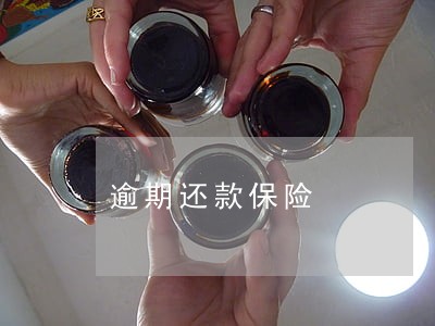 逾期还款保险