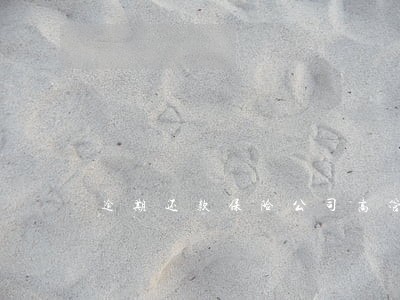 逾期还款保险公司高管任职要求 逾期还款保险公司高管任职要求