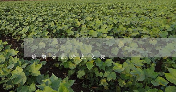 逾期还款信息文档 逾期还款信息文档