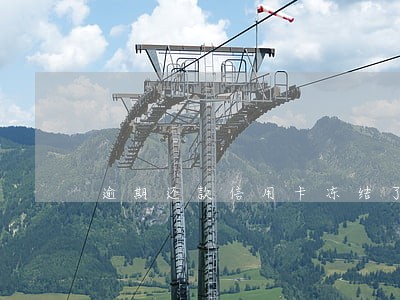 逾期还款信用卡冻结了 逾期还款信用卡冻结了
