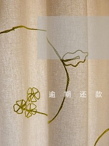 逾期还款信用卡垫还