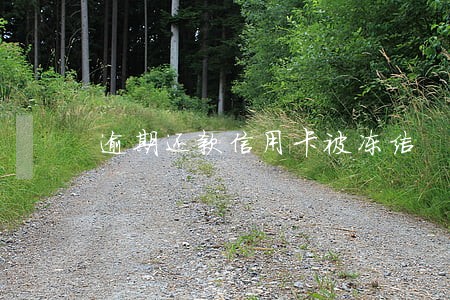 逾期还款信用卡被冻结 逾期还款信用卡被冻结