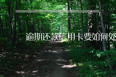 逾期还款信用卡要如何处理 逾期还款信用卡要如何处理