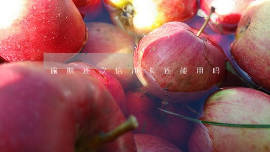 逾期还款信用卡还能用吗 逾期还款信用卡还能用吗