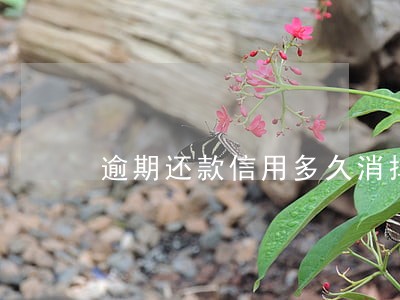 逾期还款信用多久消掉