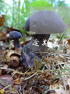 逾期还款信用记录能清除 逾期还款信用记录能清除