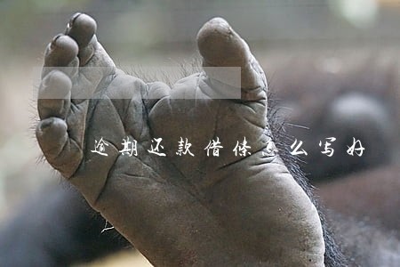 逾期还款借条怎么写好 逾期还款借条怎么写好