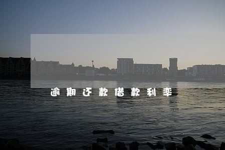 逾期还款借款利率 逾期还款借款利率