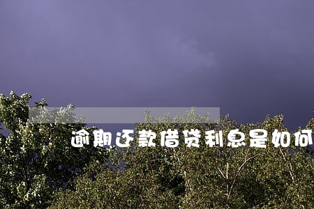 逾期还款借贷利息是如何规定的