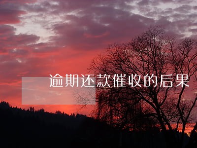 逾期还款催收的后果 逾期还款催收的后果