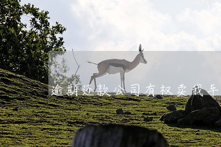 逾期还款公司有权卖我车吗 逾期还款公司有权卖我车吗