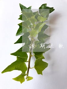 逾期还款公积金限制提取 逾期还款公积金限制提取
