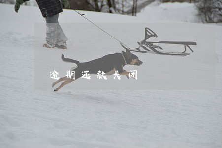 逾期还款关闭 逾期还款关闭