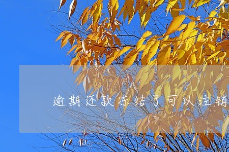 逾期还款冻结了可以注销吗 逾期还款冻结了可以注销吗